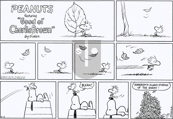 Peanuts - Sunday September 2, 1973 Comic Strip