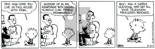 Calvin and Hobbes on Wednesday May 22, 1991 Comic Strip