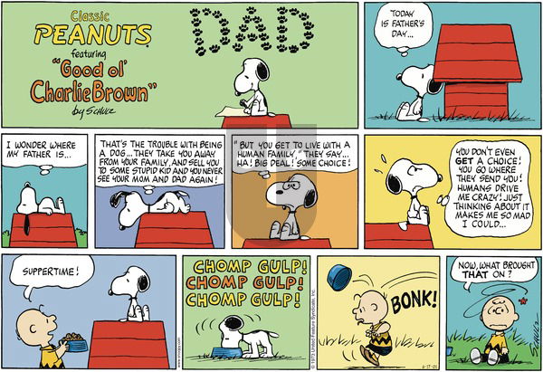 Peanuts on Sunday June 17, 2001 Comic Strip