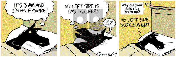 Dark Side of the Horse on Tuesday January 17, 2012 Comic Strip