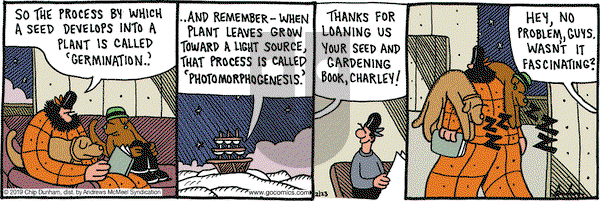 Overboard on Saturday February 23, 2019 Comic Strip