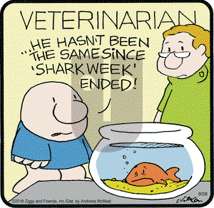 Ziggy on Monday August 26, 2019 Comic Strip