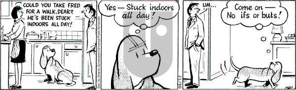 Fred Basset on Friday June 12, 2009 Comic Strip