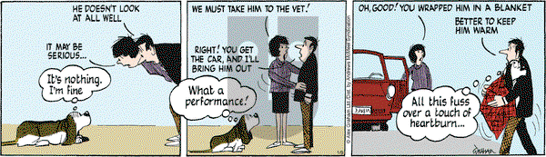 Fred Basset on Thursday January 9, 2025 Comic Strip