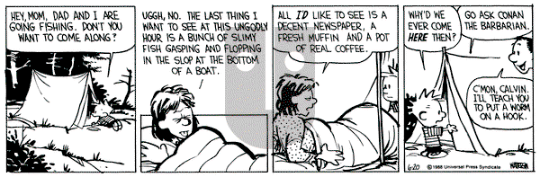 Calvin and Hobbes on Monday June 20, 1988 Comic Strip