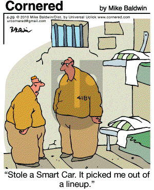 Cornered - Thursday April 29, 2010 Comic Strip