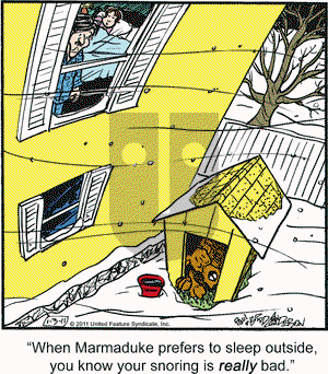 Marmaduke on Monday January 3, 2011 Comic Strip
