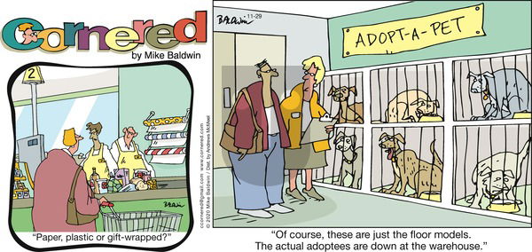 Cornered on Sunday November 29, 2020 Comic Strip