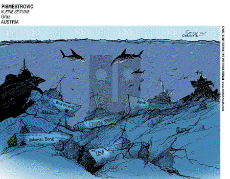 ViewsBusiness on Sunday September 21, 2008 Comic Strip