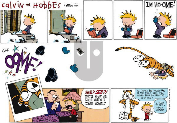Calvin and Hobbes on Sunday February 27, 1994 Comic Strip