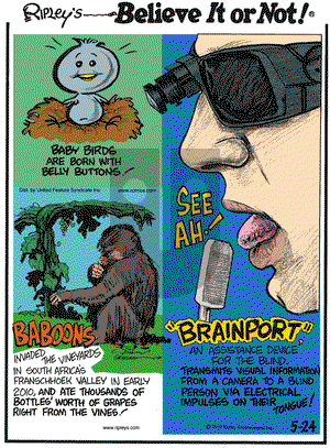 Ripley's Believe It or Not on Monday May 24, 2010 Comic Strip