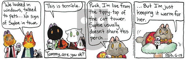 Breaking Cat News - Monday June 17, 2024 Comic Strip