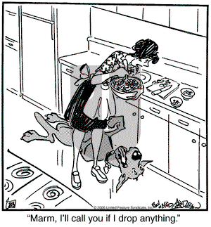 Marmaduke on Friday March 3, 2006 Comic Strip