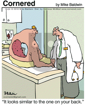 Cornered on Wednesday October 24, 2018 Comic Strip