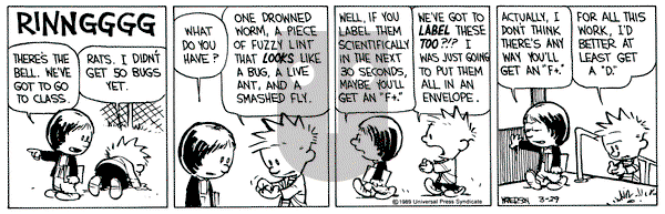 Calvin and Hobbes on Wednesday March 29, 1989 Comic Strip