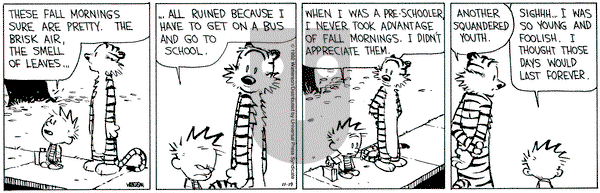 Calvin and Hobbes on Thursday November 19, 1992 Comic Strip