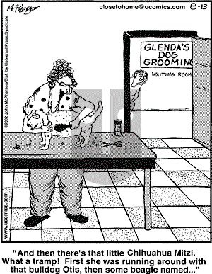Close to Home - Tuesday August 13, 2002 Comic Strip