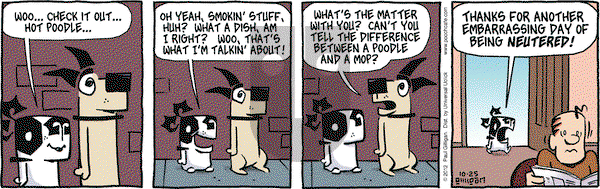 Pooch Cafe on Thursday October 25, 2012 Comic Strip