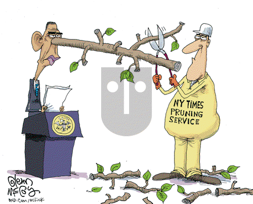 Glenn McCoy on Tuesday November 12, 2013 Comic Strip
