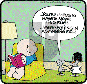 Ziggy on Tuesday July 11, 2017 Comic Strip