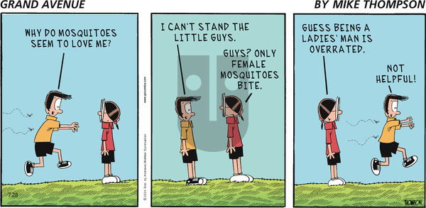 Grand Avenue on Sunday July 28, 2024 Comic Strip