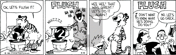 Calvin and Hobbes - Tuesday September 10, 1991 Comic Strip