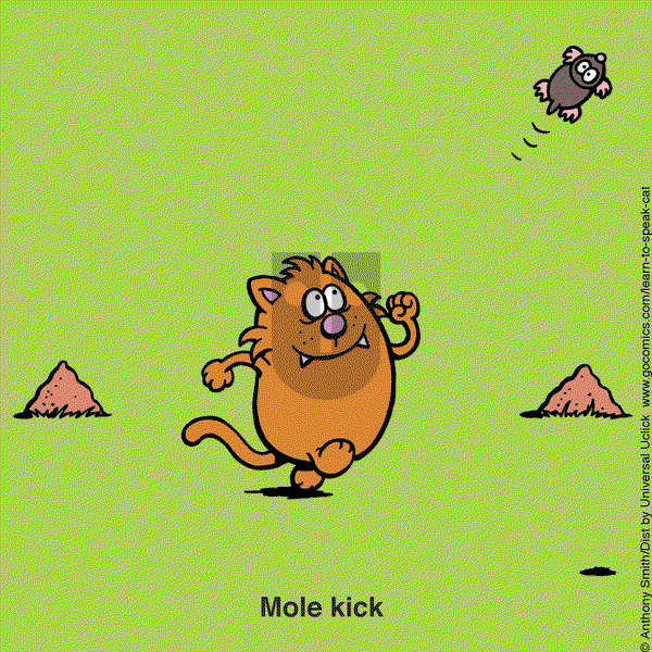 Learn to Speak Cat on Monday May 19, 2025 Comic Strip