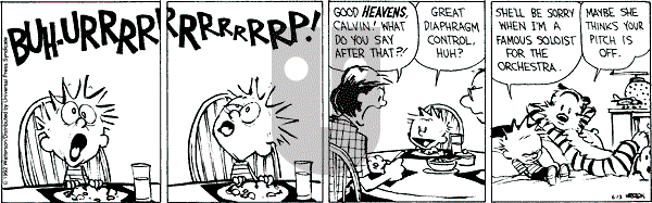 Calvin and Hobbes - Saturday June 13, 1992 Comic Strip