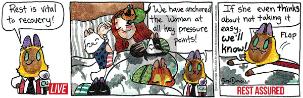 Breaking Cat News - Saturday June 3, 2023 Comic Strip