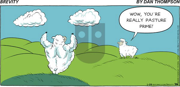 Brevity - Sunday January 29, 2023 Comic Strip