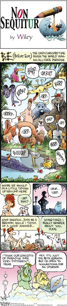 Non Sequitur on Sunday May 25, 2025 Comic Strip