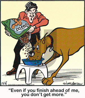 Marmaduke on Tuesday March 3, 2020 Comic Strip
