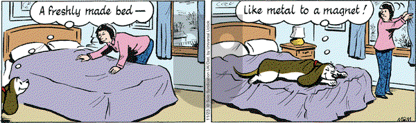 Fred Basset on Wednesday November 23, 2016 Comic Strip