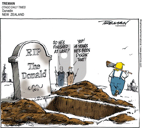 ViewsAmerica on Thursday November 12, 2020 Comic Strip