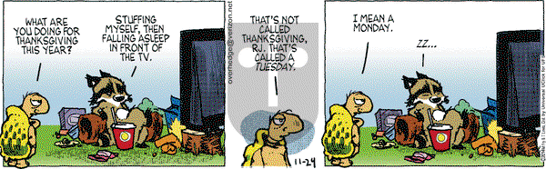 Over the Hedge on Monday November 24, 2014 Comic Strip
