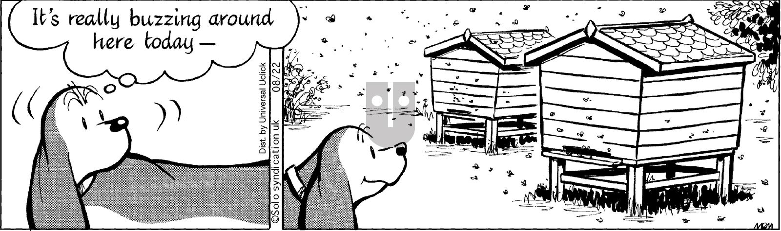 Fred Basset on Friday August 22, 2014 Comic Strip