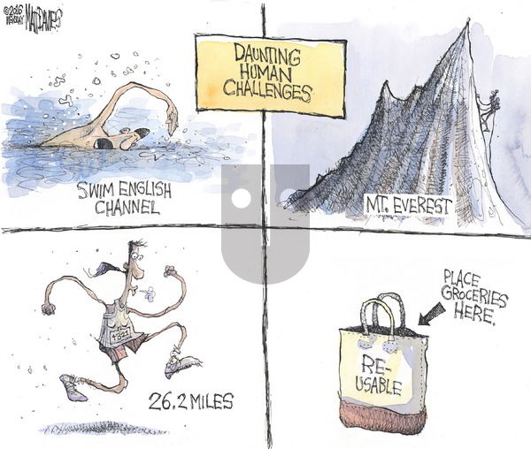 Matt Davies on Sunday June 12, 2016 Comic Strip