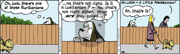 Fred Basset on Saturday January 23, 2016 Comic Strip