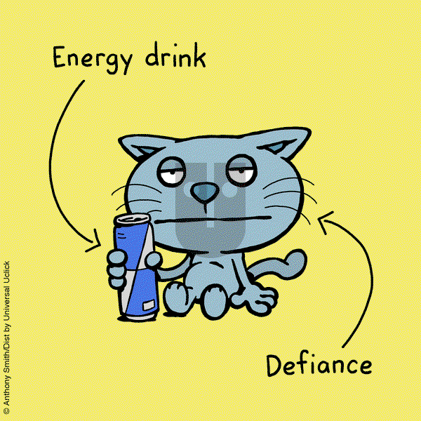 Cattitude — Doggonit on Tuesday January 21, 2025 Comic Strip