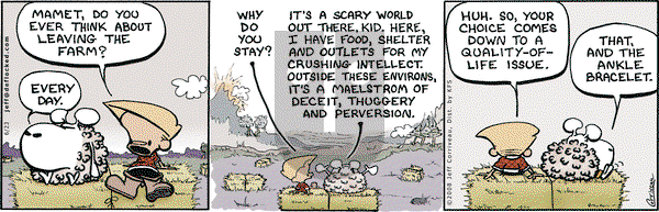 DeFlocked on Monday June 23, 2008 Comic Strip