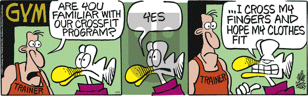 Mother Goose and Grimm on Wednesday November 12, 2025 Comic Strip