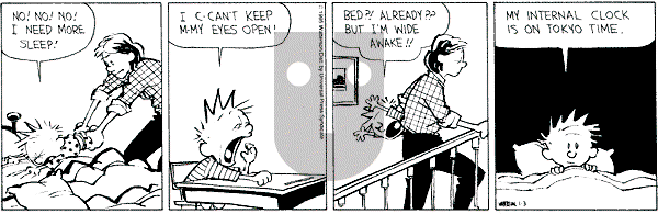 Calvin and Hobbes - Tuesday January 3, 1995 Comic Strip