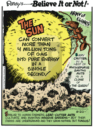 Ripley's Believe It or Not on Thursday August 20, 2009 Comic Strip