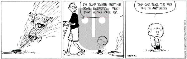 Calvin and Hobbes on Wednesday August 2, 1995 Comic Strip