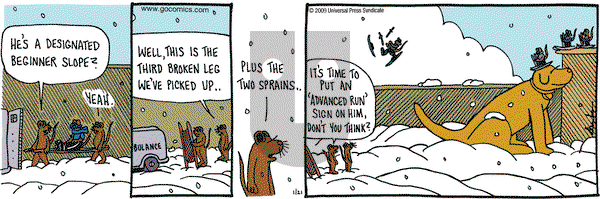 Overboard on Wednesday January 21, 2009 Comic Strip