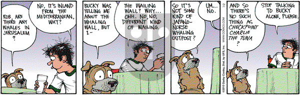Get Fuzzy on Friday July 2, 2010 Comic Strip