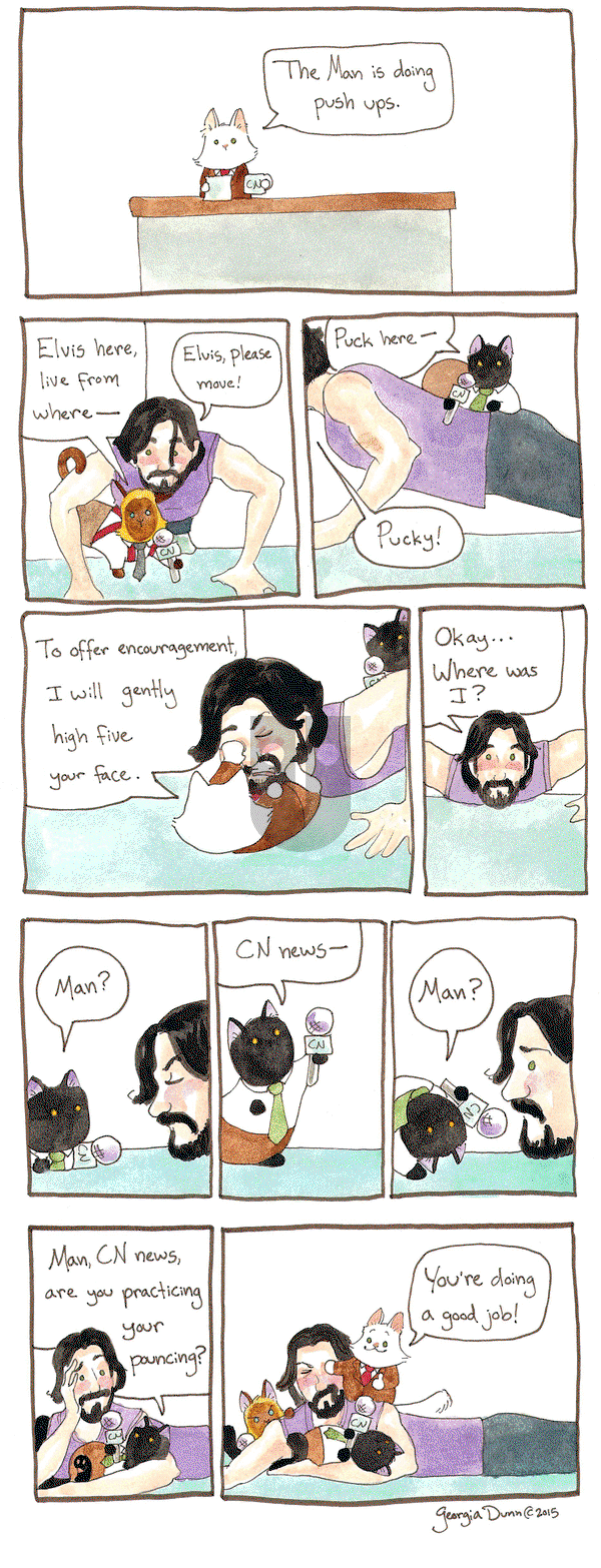 Breaking Cat News on Thursday June 25, 2015 Comic Strip
