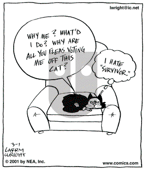 Kit 'N' Carlyle on Thursday March 1, 2001 Comic Strip