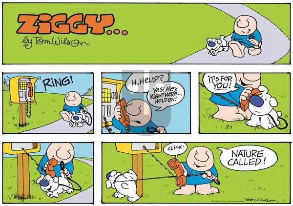 Ziggy on Sunday July 2, 2017 Comic Strip