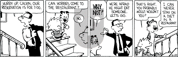 Calvin and Hobbes - Friday June 20, 1986 Comic Strip